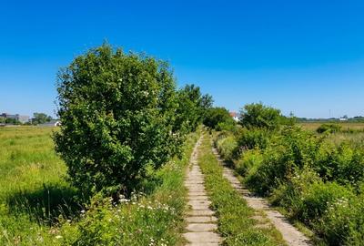 Teren Construcții intravilan de 3900 mp, în Bragadiru - 3