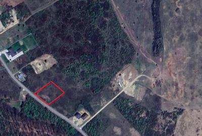 Teren de vanzare in Paleu - Saldabagiu la asfalt, gaze si electricitate - 3