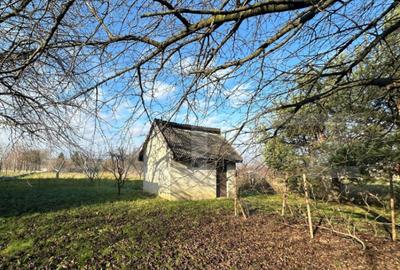 Teren de vanzare, 2366 mp - zona Bercu Rosu - 1