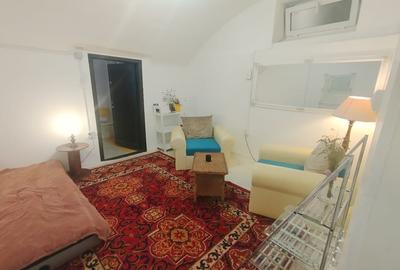 Apartament cu 2 camere semidecomandat, mobilat în Ultracentral - 5