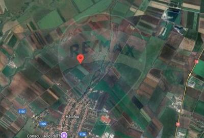Teren 10.875 MP | Halchiu |  Jud. Brasov - 5