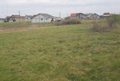 Teren de 1000 mp, în Rontău - 2