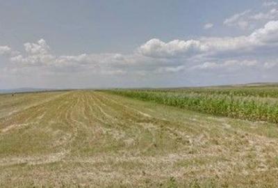 Teren extravilan cota parte 1/3 Cernatesti , ID: R2586146 - 6