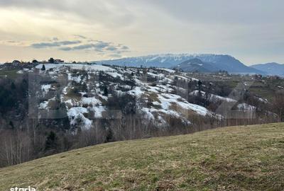 Spațiu comercial, în Predeluț - 1