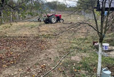 Casă cu Teren 3074 Mp în Cordun - 2