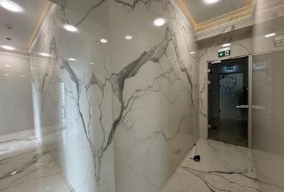 Spațiu Comercial Premium de Închiriat - Zona Domenii - 5