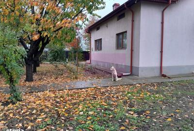 Casă cu 4 camere în Dudu - 20