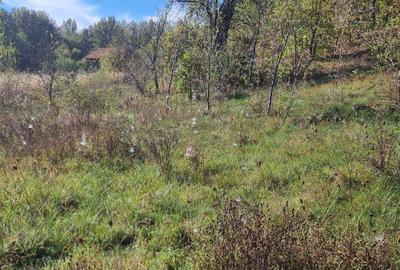 Spațiu comercial, în Cracu Almăj - 12