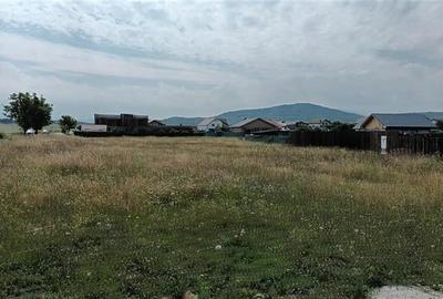 Lot pentru caminul tau, 800 mp intravilan, Bod, 15 min Brasov - 8