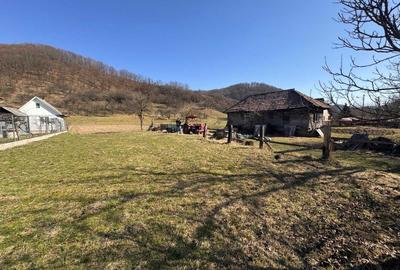 Casă cu 2 camere în Măgoaja - 7
