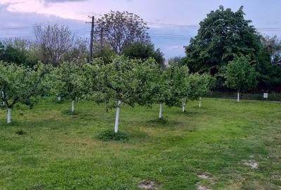 Casă cu 4 camere în Mârțești