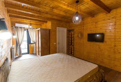 Casa de vacanta sau rezidentiala cu lac si ciubar Nucsoara-Arges Casa de vacanta sau rezidentiala cu lac si ciubar Nucsoara-Arges - 6