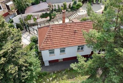 Oază de liniște cu curte în zona Blumana - 2