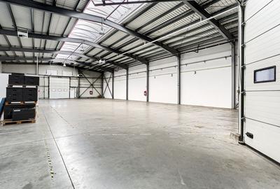 Hală industrială 727 mp Arad - 3