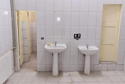 Drumul Intre Tarlale spatiu productie 1350 mp - 7