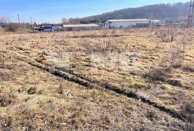 VanzareITeren Suceava/Itcani  I Intravilan I  12.478 Mp I 109 Euro/Mp - 8