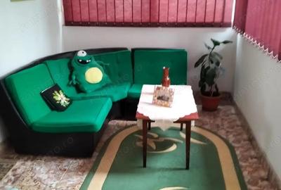 De vanzare casa cu teren de 1500mp in Deta - 1