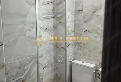Garsonieră în Paltiniș - 8