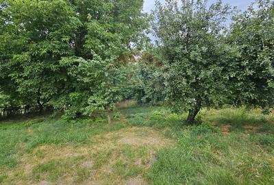 Teren intravilan 2,036mp Padureni-Sendriceni, Botosani