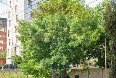 Teren investitii Constanta / Soseaua Mangaliei - 10