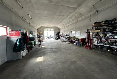 Spațiu industrial, de 250 mp, în Sântimbru - 2