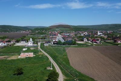 Teren de vanzare 8.700 mp in Livada comuna Iclod - 9