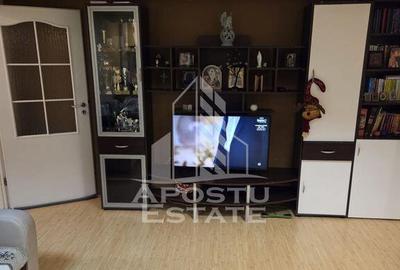 Apartament cu 2 camere semidecomandat în Șagului