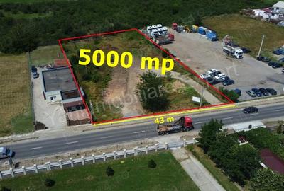 Teren de 5000 mp, în Nord - 6