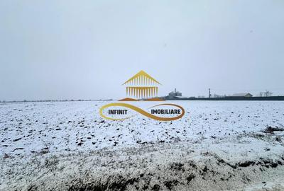 Teren Construcții intravilan de 4579 mp, în Schineni (Săucești) - 2