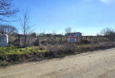 Spațiu comercial, în Vânători - 5