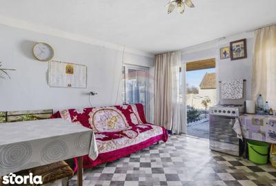 Casă cu 3 camere cu Teren 1439 Mp în Secusigiu - 6