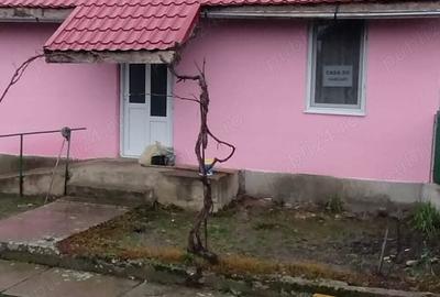 Casa de vanzare! - 2
