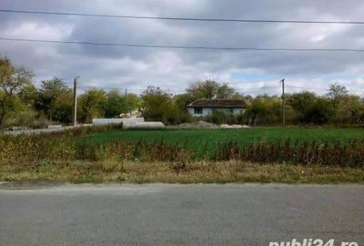 Casă cu 3 camere cu Teren 1000 Mp în Central - 3