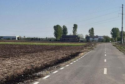 Teren de 4850 mp, în Dobreni - 1