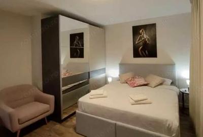 Apartament cu 1 camera in zona Cetatii - 1