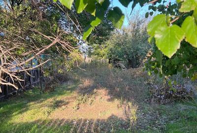 Galbinasi - jud. Calarasi, casa vanzare - 13