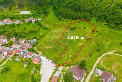 Teren Construcții intravilan de 8529 mp, în Bunloc - 6