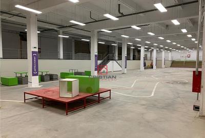 Depozit/hala/spatiu industrial Politehnica - Apaca - 8