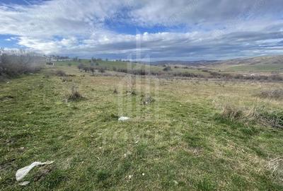 Teren de 1800 mp, în Roșia