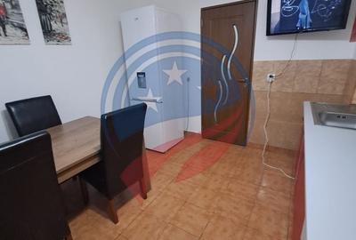 Apartament cu 2 camere semidecomandat, mobilat în Craiovița Nouă - 8