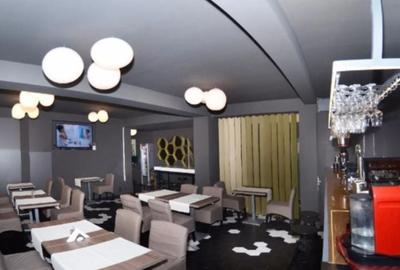 Zona Balcescu Maria Rosetti sp 310 mp P+E1+Terasa - 14