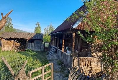 Casă cu 2 camere în Strâmtura - 5