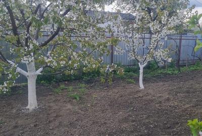 Casă cu 3 camere în CFR - 3