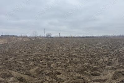 Teren agricol intravilan de 6000 mp, în Mărgineni - 3