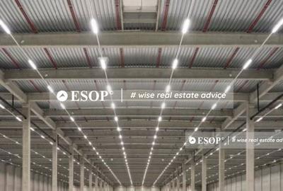 Spațiu comercial, de 3,000 mp, în Ariceștii Rahtivani - 3