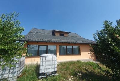 Casa  moderna mobilata cu beci 165mp +3000mp teren Cotnari - 36