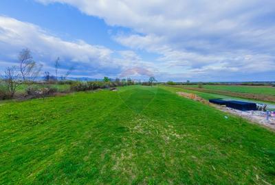 Casă cu 4 camere cu Teren 2900 Mp în Colțirea - 39