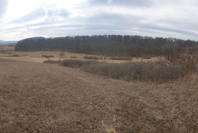 Spațiu comercial, în Sigmir - 3