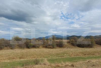 Teren de vanzare in Rasnov zona Glejerie, 10.000 mp - 7