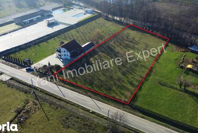 Teren de 4166 mp, în Corbi - 6